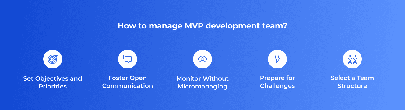 How to Manage MVP Development Team?