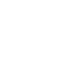 AWS Partner